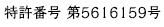 特許番号 第5616159号